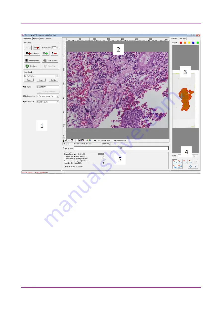 3D Histech Pannoramic 250 FLASH II User Manual Download Page 51