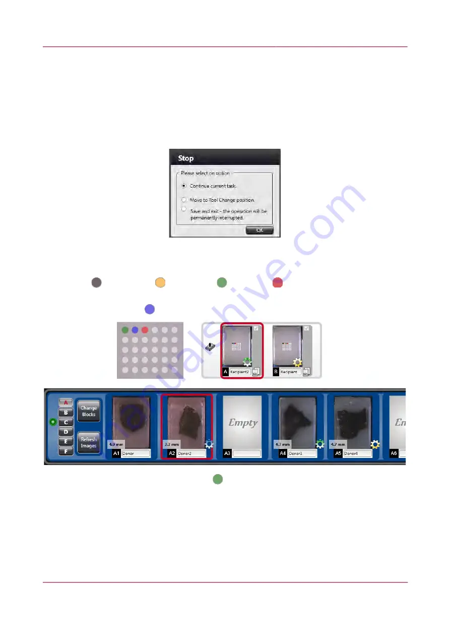 3DHISTECH TMA Grand Master 2.6 User Manual Download Page 52