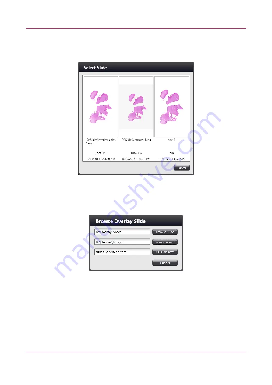 3DHISTECH TMA Grand Master 3.2 User Manual Download Page 63