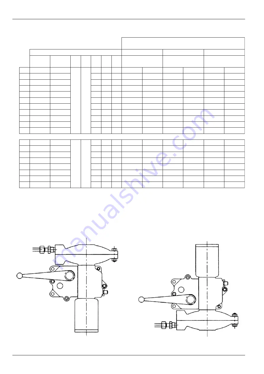 3L.P. GAS ICN Manual Download Page 4