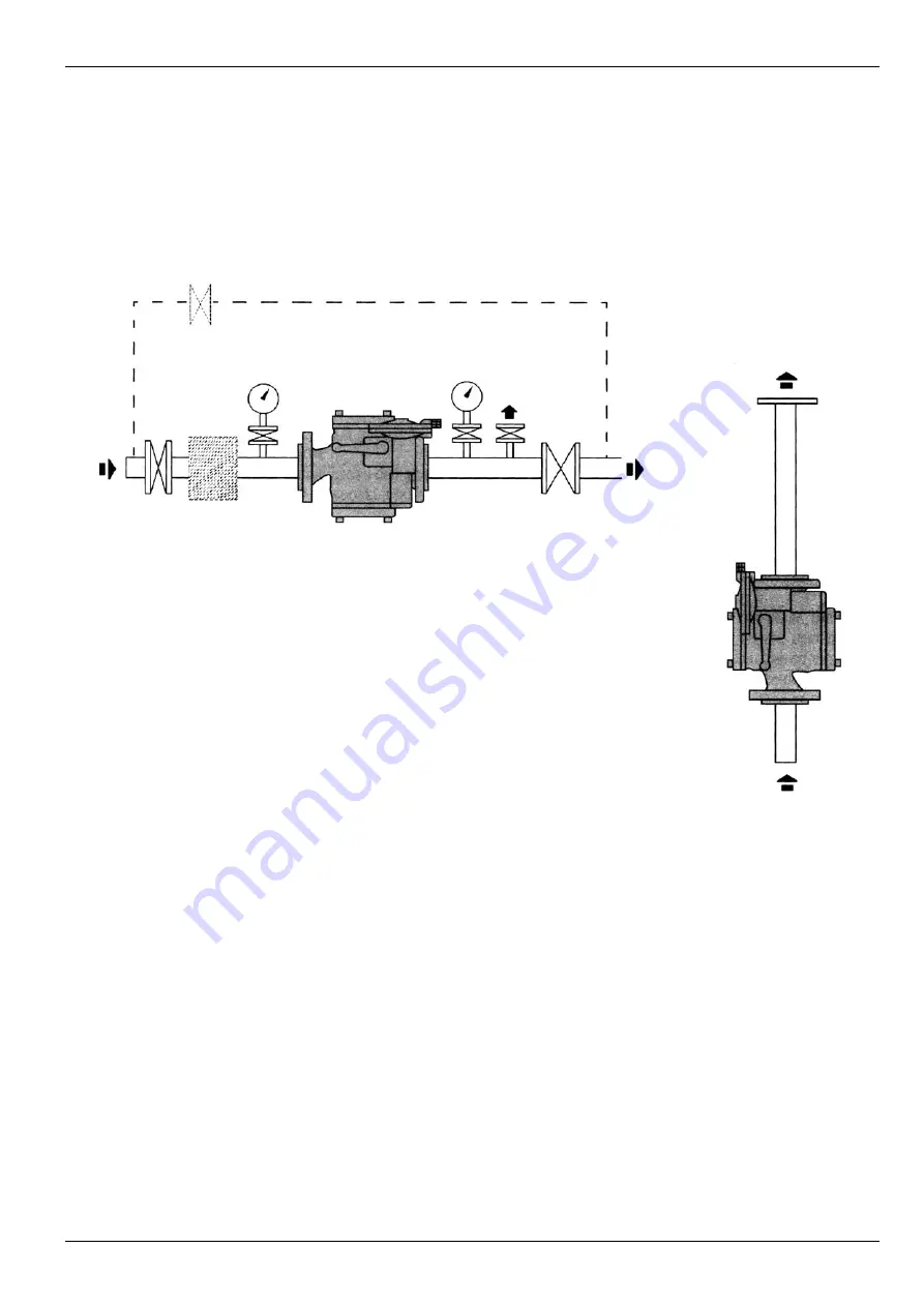 3L.P. GAS ICN Manual Download Page 5