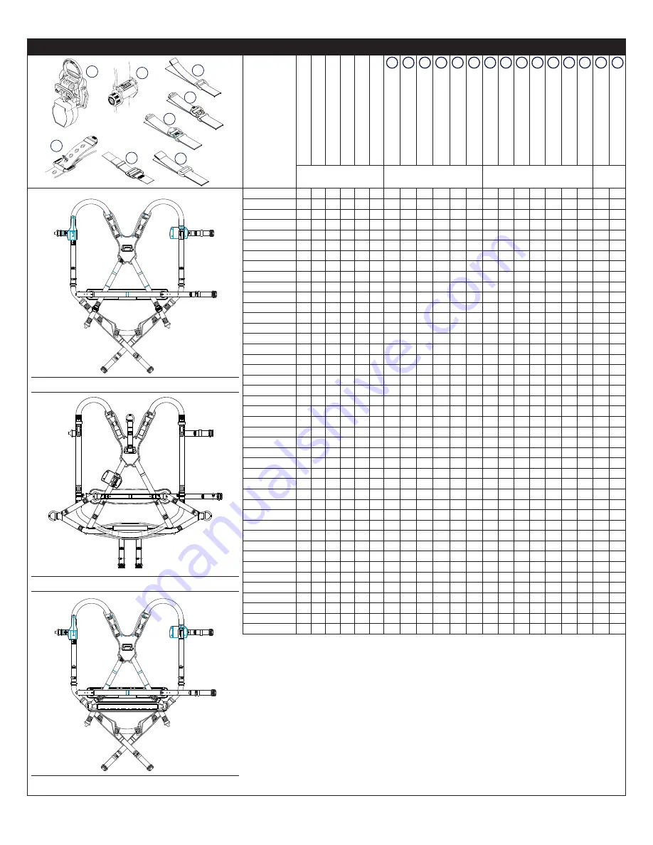 3M DBI SALA ExoFit Nex 603XS1020 Скачать руководство пользователя страница 2