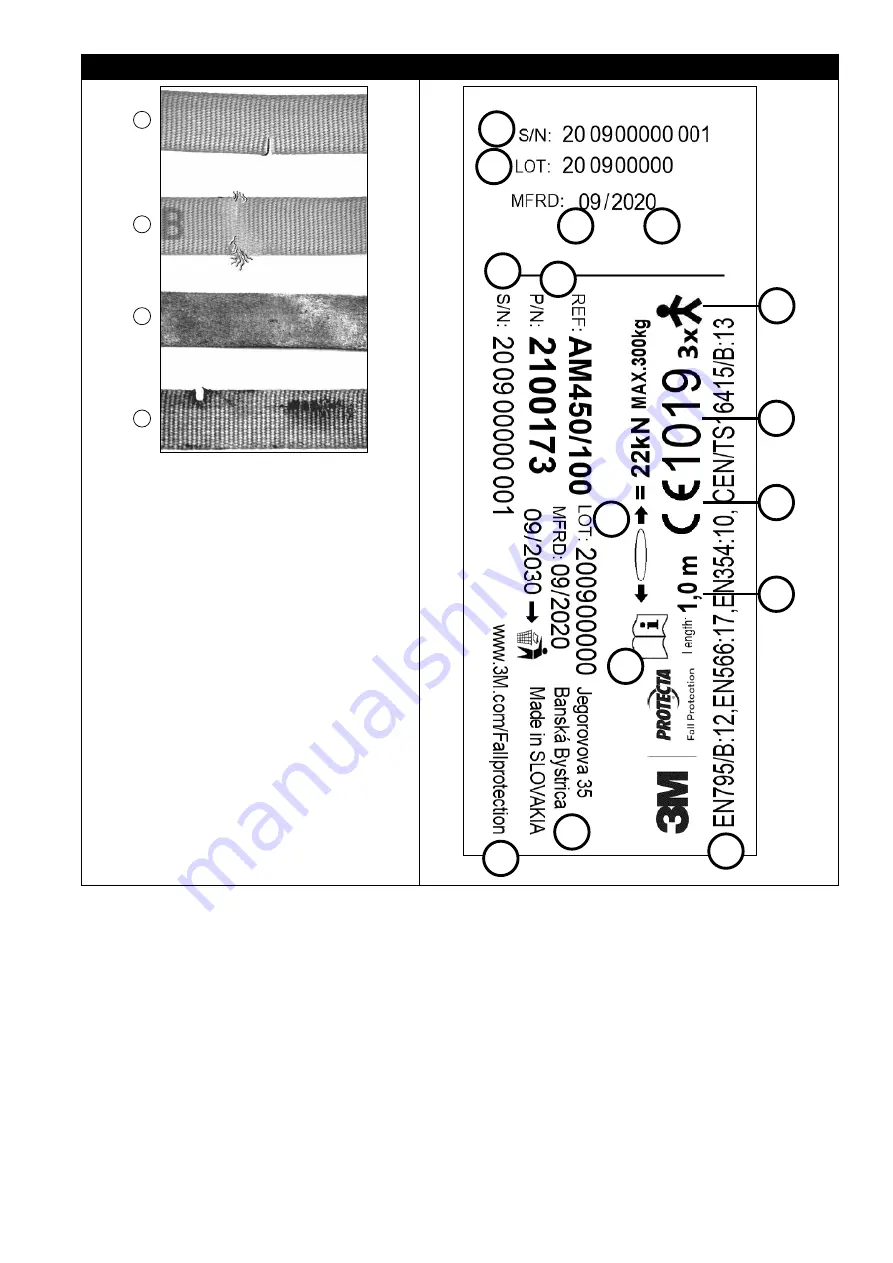 3M Protecta Web Sling AM450/60 Protecta Web Sling... Скачать руководство пользователя страница 5