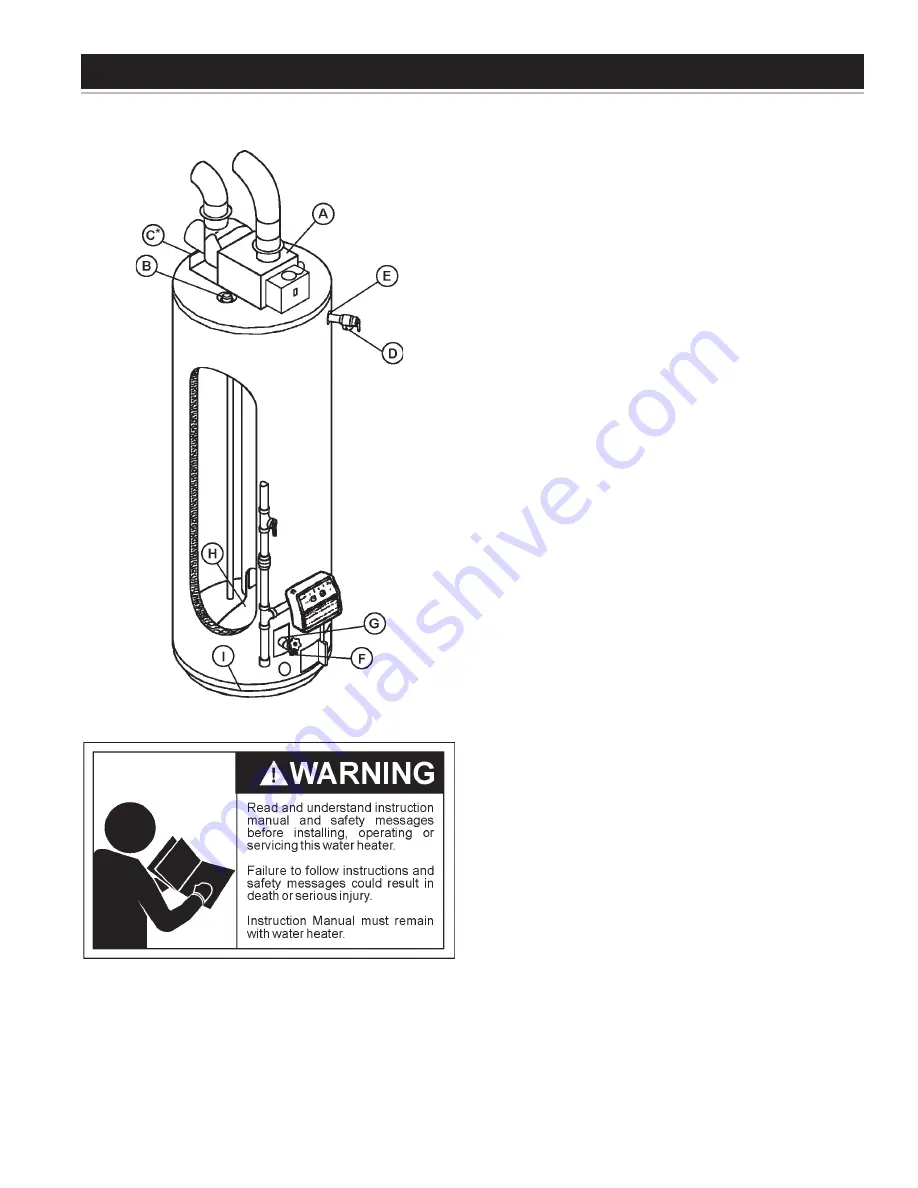 A.O. Smith Power Direct ventedGas SERIES Instruction Manual Download Page 29