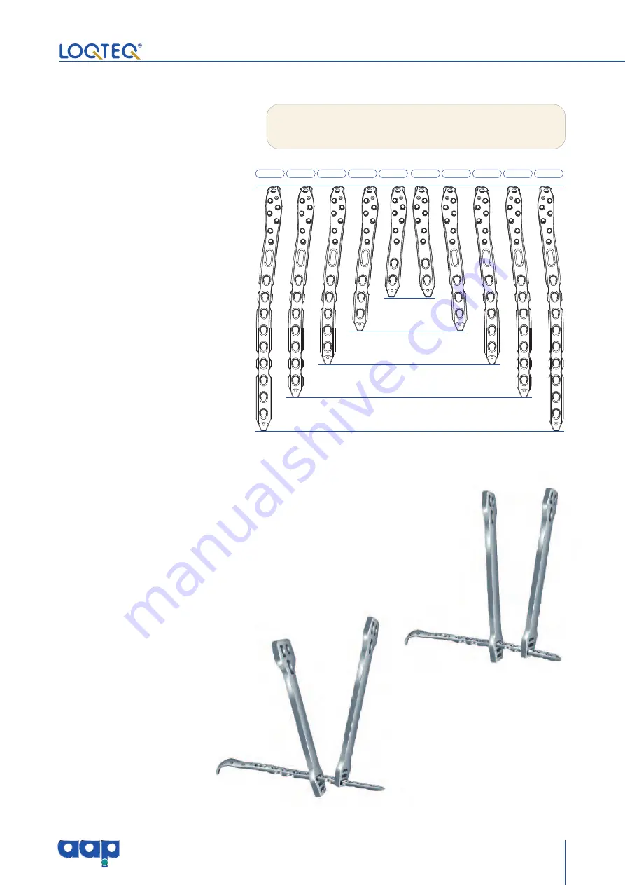 AAP LOQTEQ Distal Dorsolateral Humerus Plate... Скачать руководство пользователя страница 21