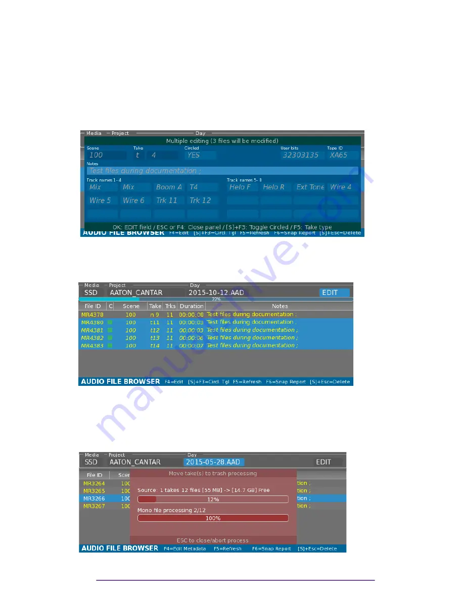 AAton CANTAR X3 User Manual Download Page 53