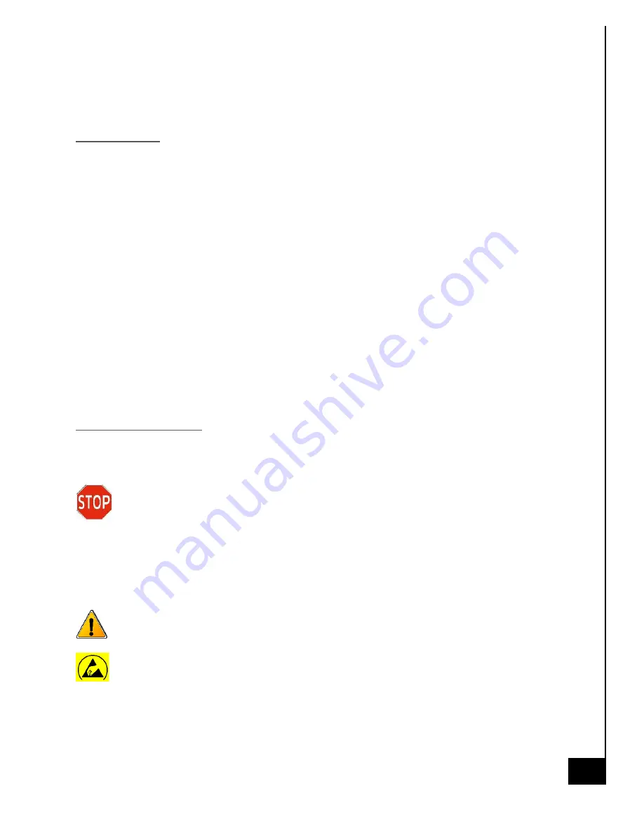 ACE COMPUTERS Firestorm 1Z490X Technical Reference Manual Download Page 7