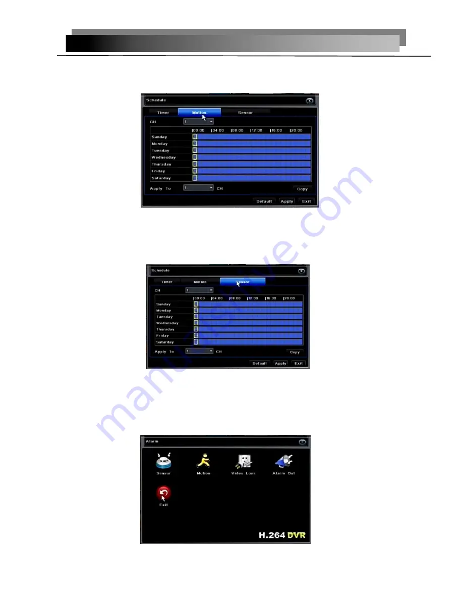 ACESEE 0490H User Manual Download Page 17