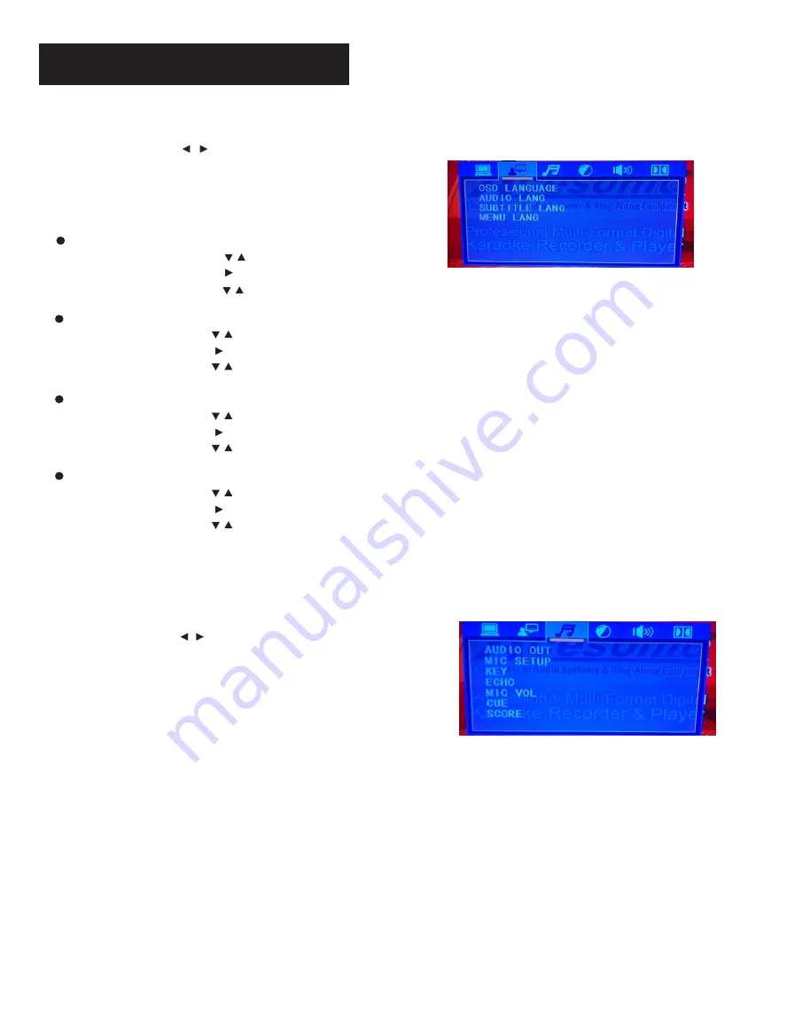 Acesonic DGX-213 User Manual Download Page 13