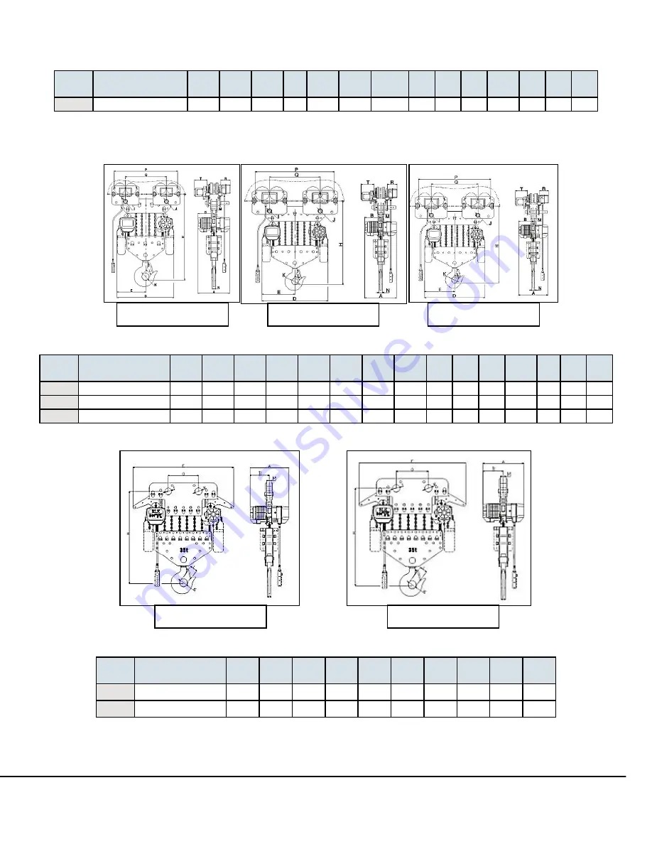 ACI Hoist & Crane NECH Series Operation Manual Download Page 61