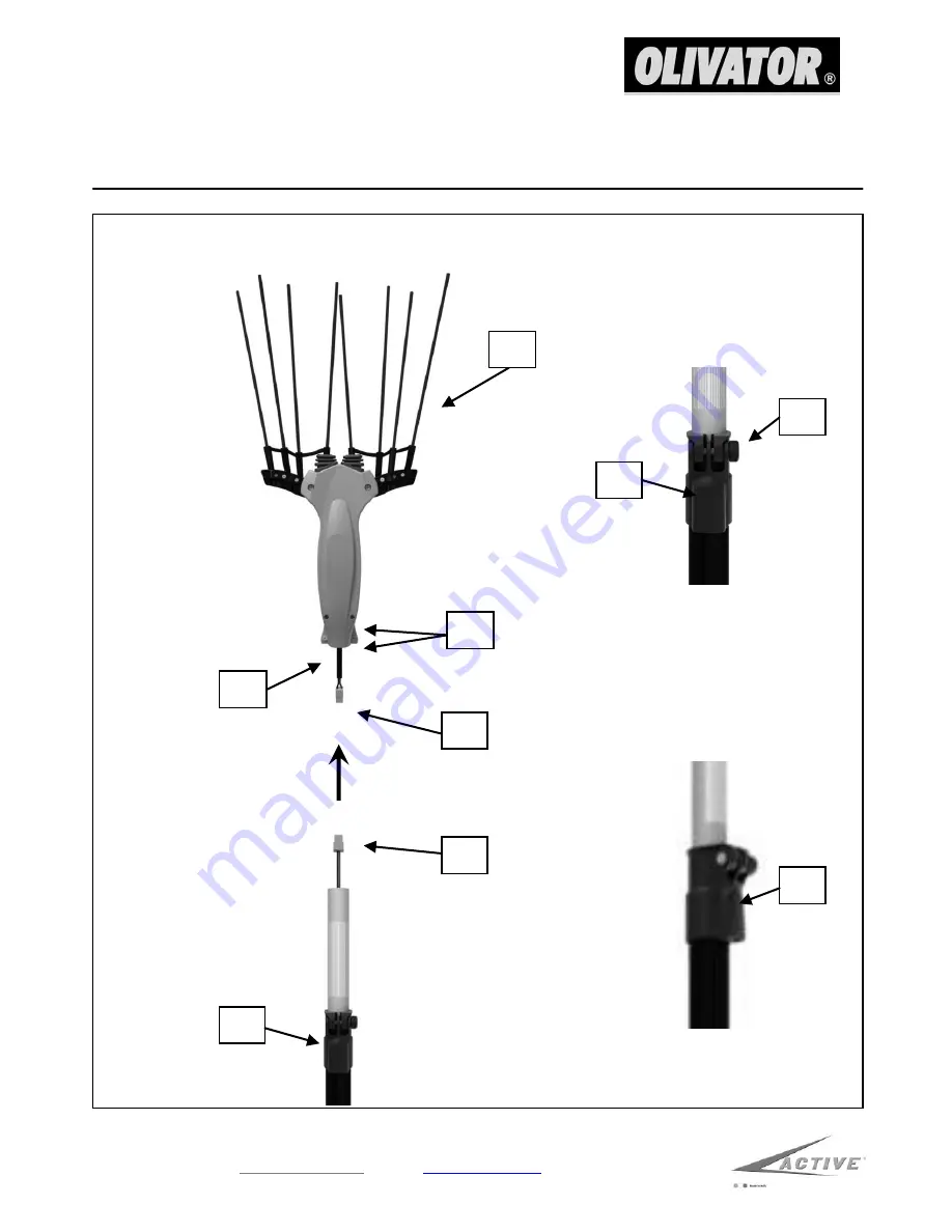 Active Olivator Скачать руководство пользователя страница 6