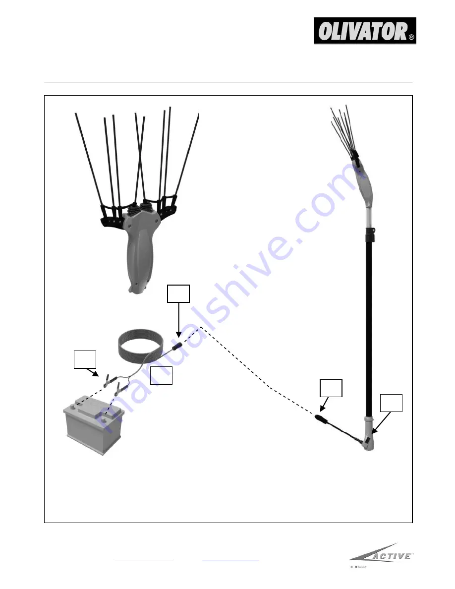 Active Olivator Скачать руководство пользователя страница 7