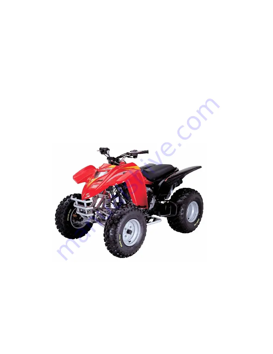 ADLY MOTO ATV-300 Скачать руководство пользователя страница 1