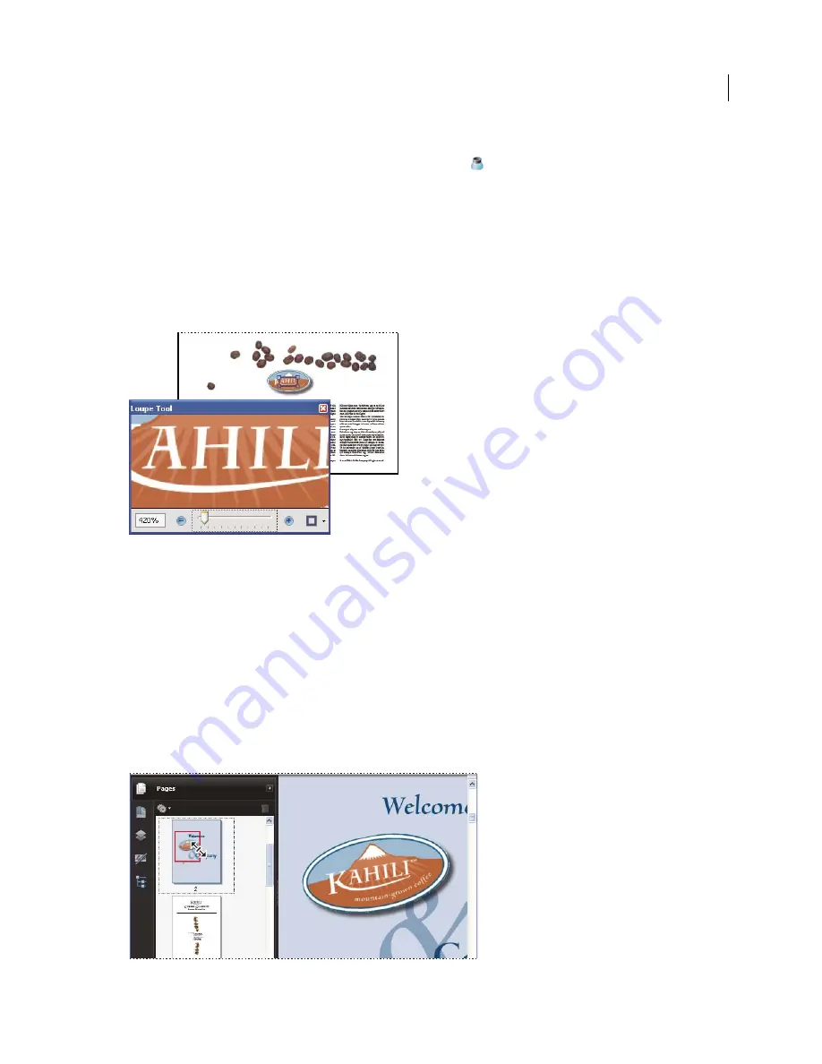 Adobe 62000236 Using Manual Download Page 51