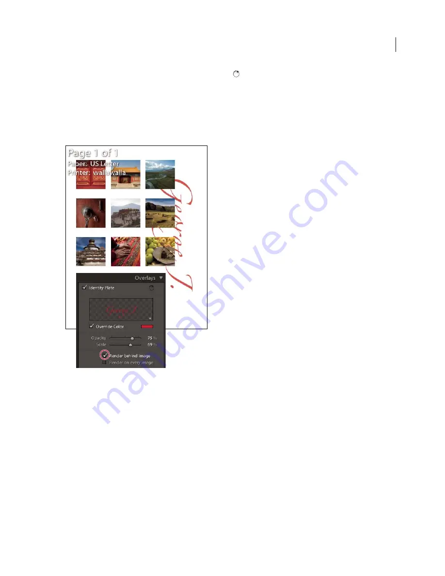 Adobe 65064073 User Manual Download Page 120