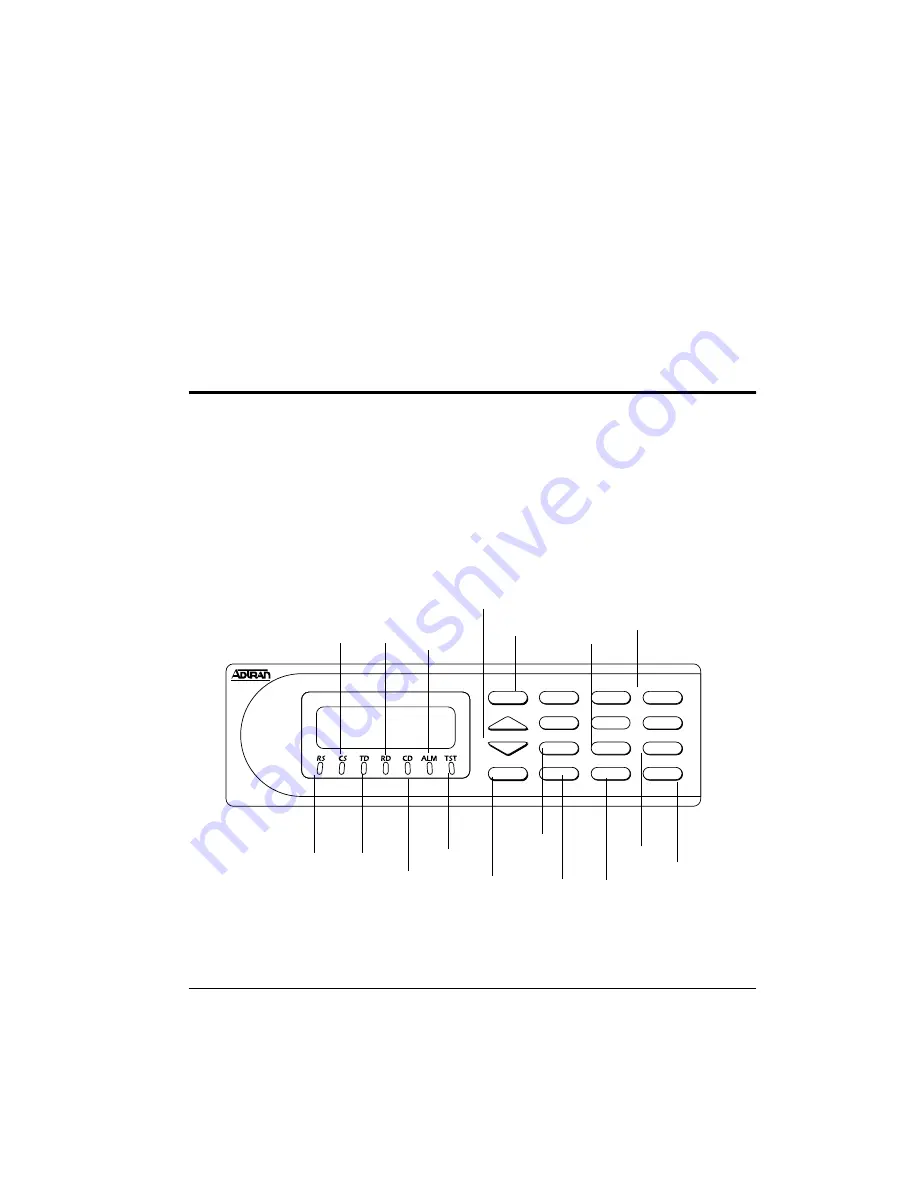 ADTRAN 1200212L1 Скачать руководство пользователя страница 41