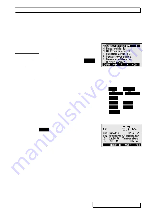 Ahlborn ALMEMO 204 Operating Instructions Manual Download Page 21