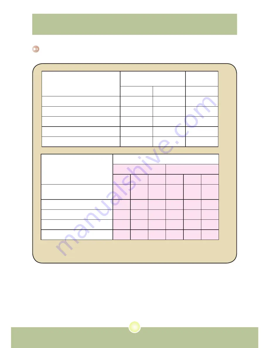 AIPTEK Pocket DV6800 User Manual Download Page 172