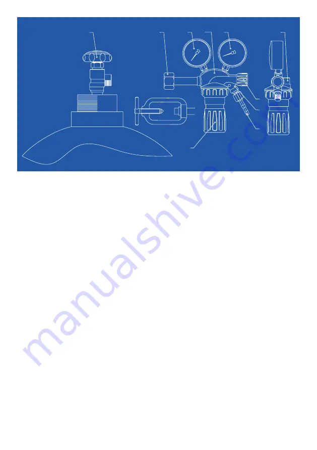 Air Liquide PRIMEJET User Manual Download Page 2