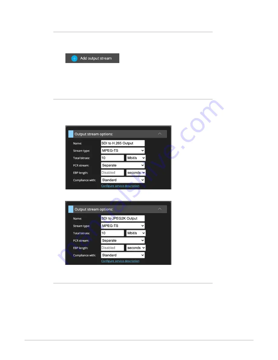 AJA BRIDGE LIVE Installation And Operation Manual Download Page 29