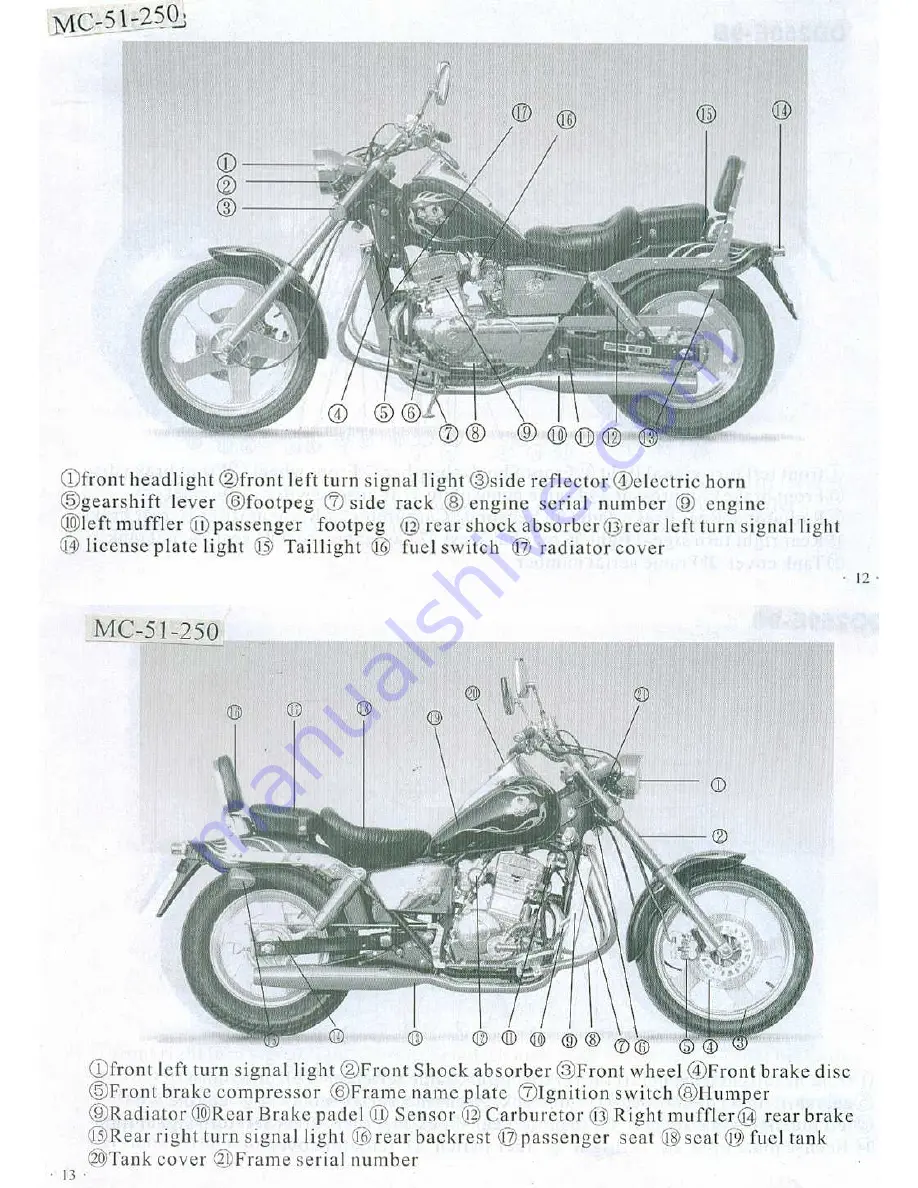 AJS Regal-Raptor DD250E-9 User Manual Download Page 7