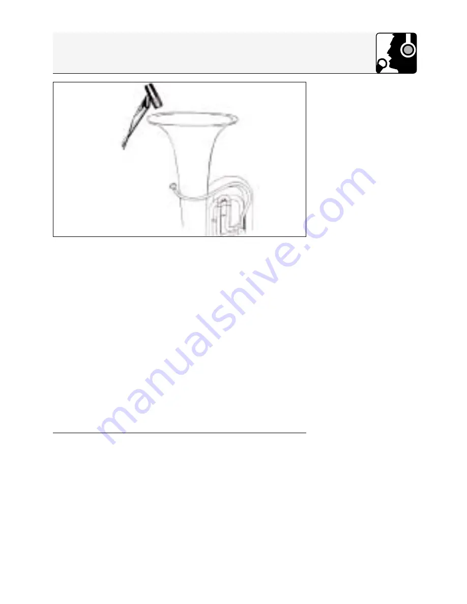 AKG D550 User Instructions Download Page 51