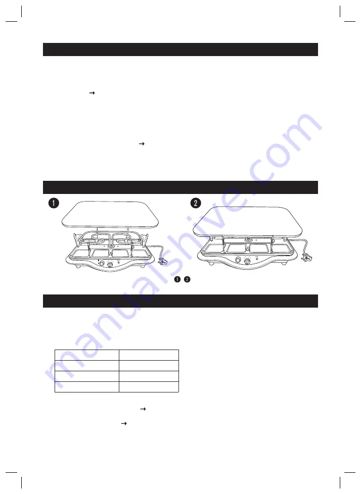 ALASKA RG1211G Instruction Manual Download Page 6