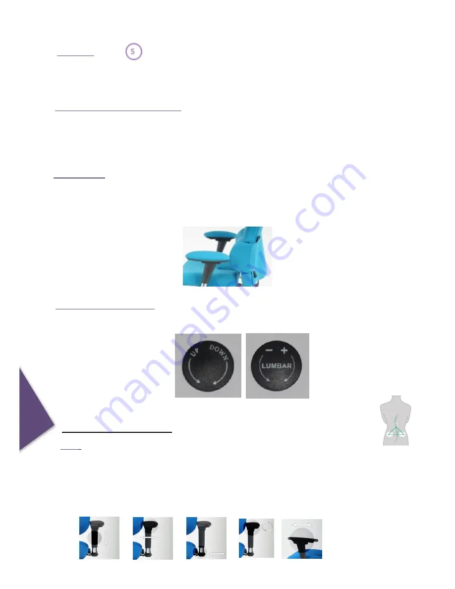 Albion SD4 User Instructions Download Page 2