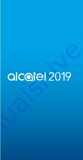 Alcatel 2019G Скачать руководство пользователя страница 2