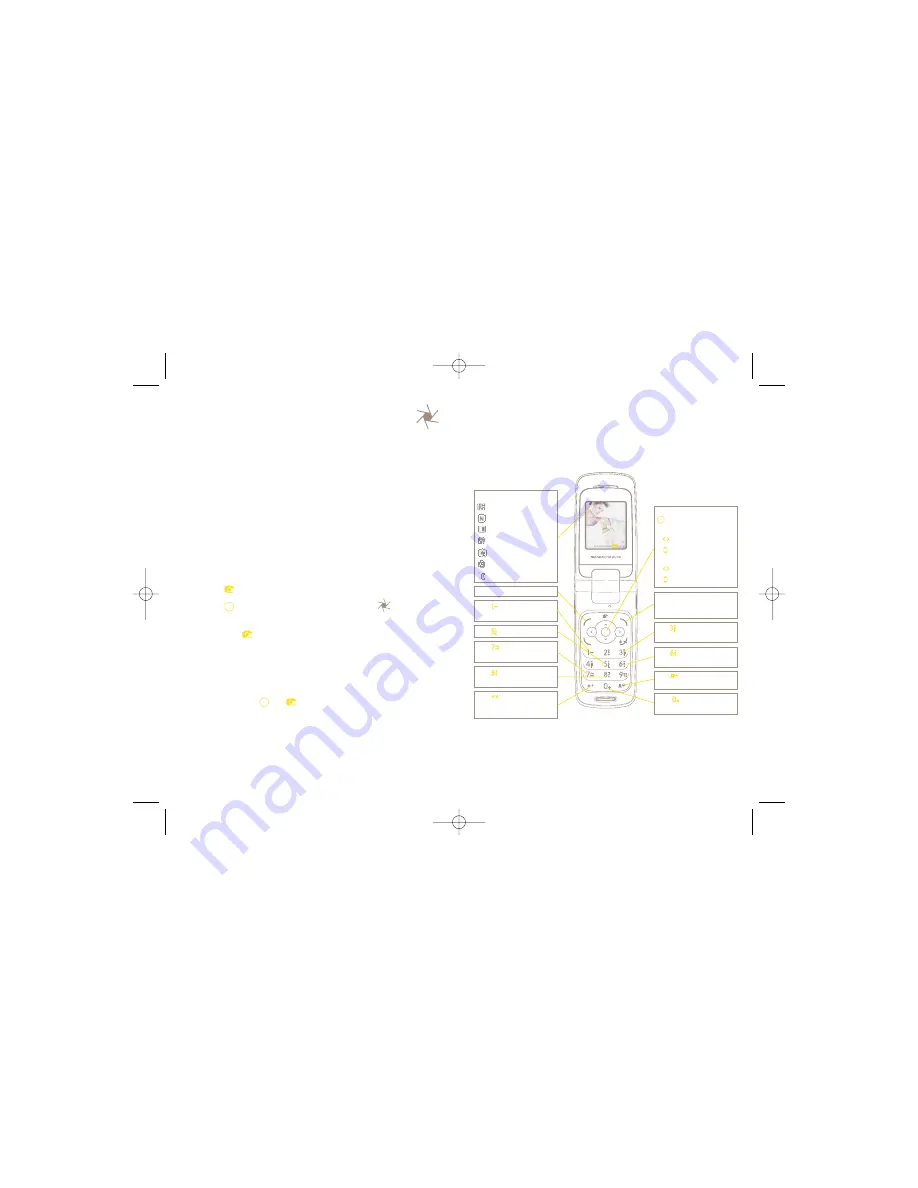 Alcatel MANDARINA DUCK MOON User Manual Download Page 33