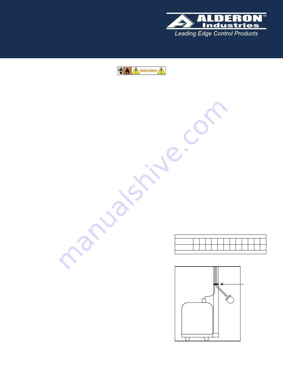 Alderon Industries Big Switch Pump Control Скачать руководство пользователя страница 1