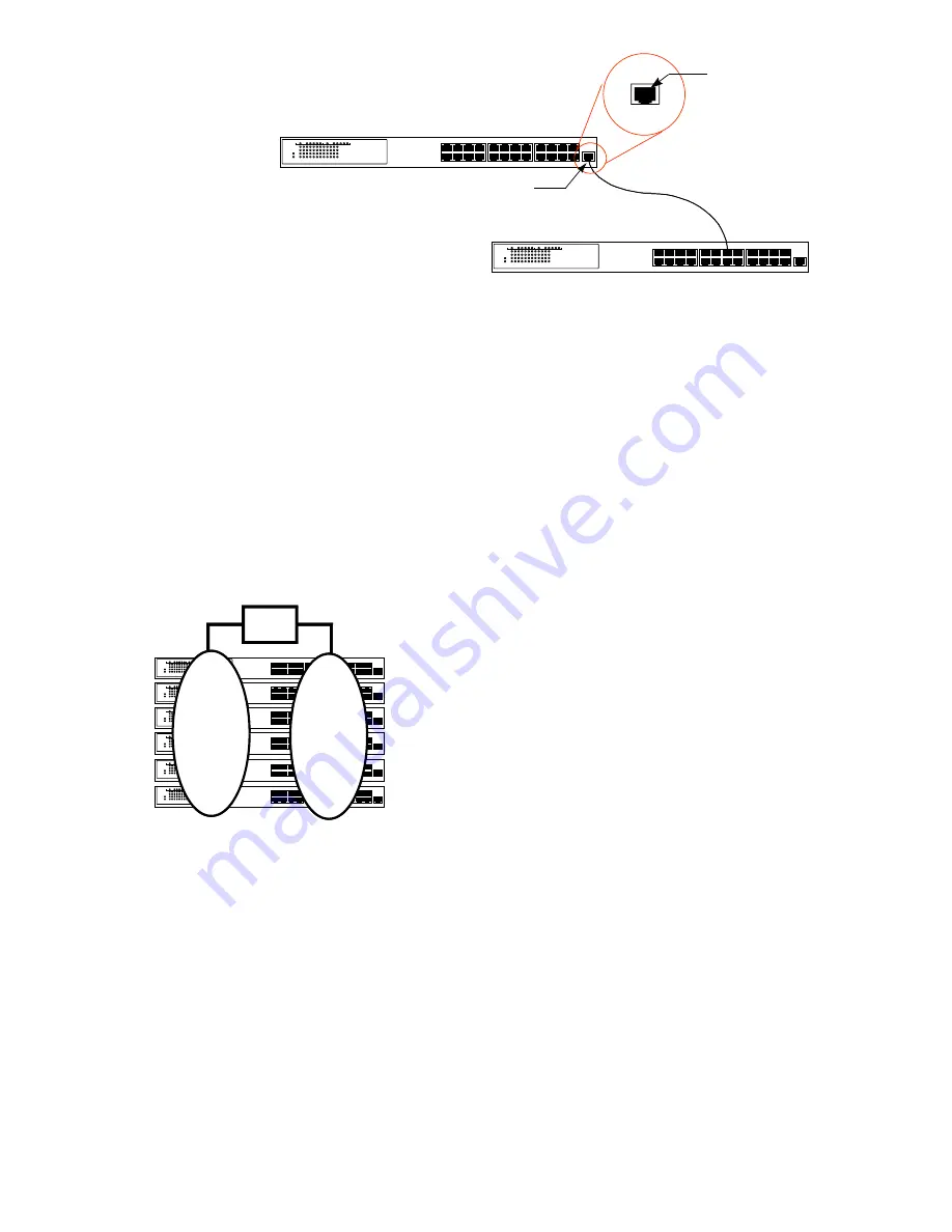 Alfa Network Dual Speed Hub ADH16SB Скачать руководство пользователя страница 13