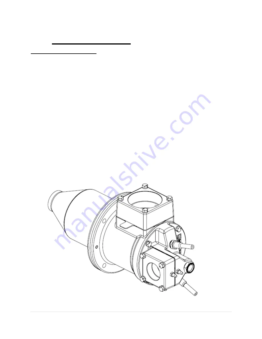 Algas SDI PHOENIX VH100 Operation & Maintenance Manual Download Page 5