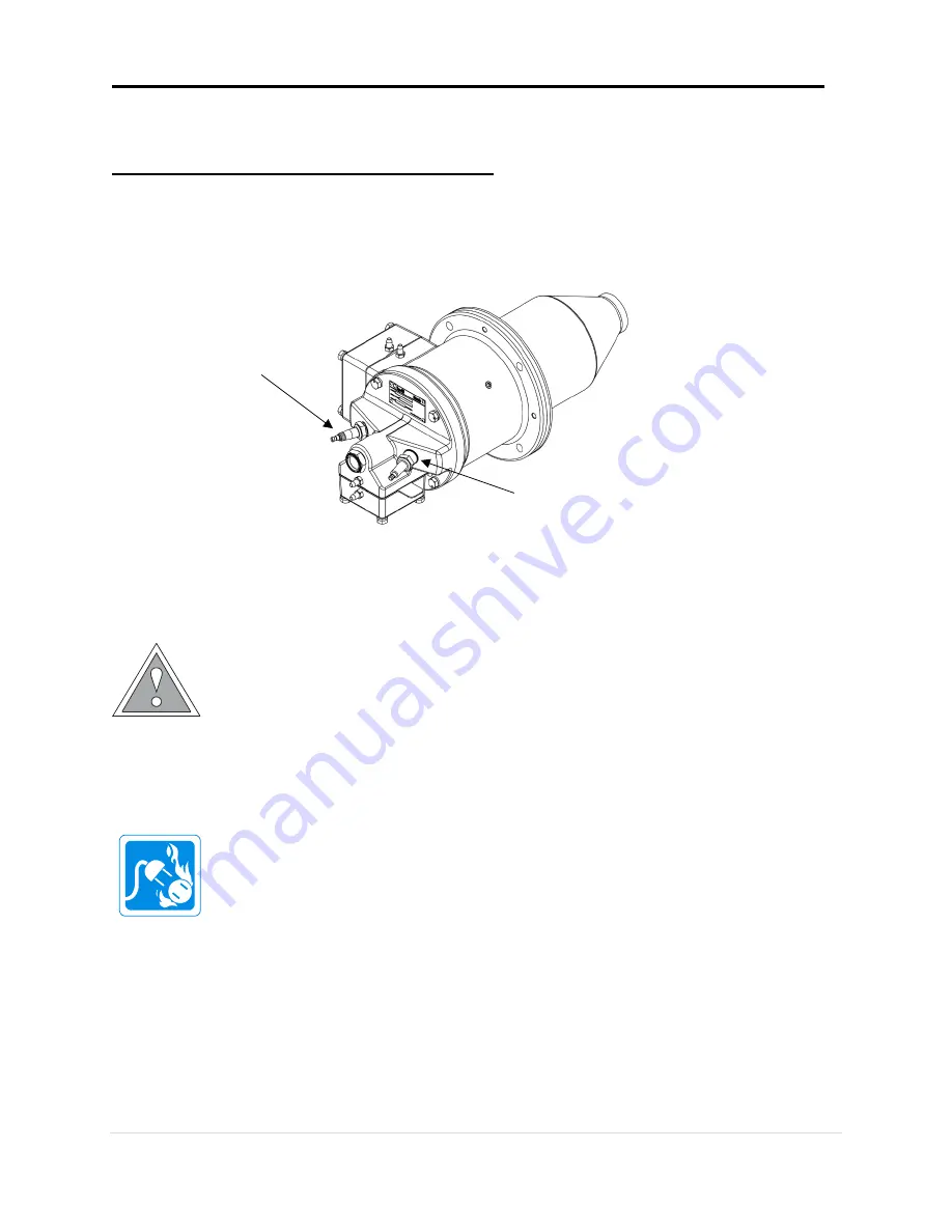 Algas SDI PHOENIX VH100 Operation & Maintenance Manual Download Page 10