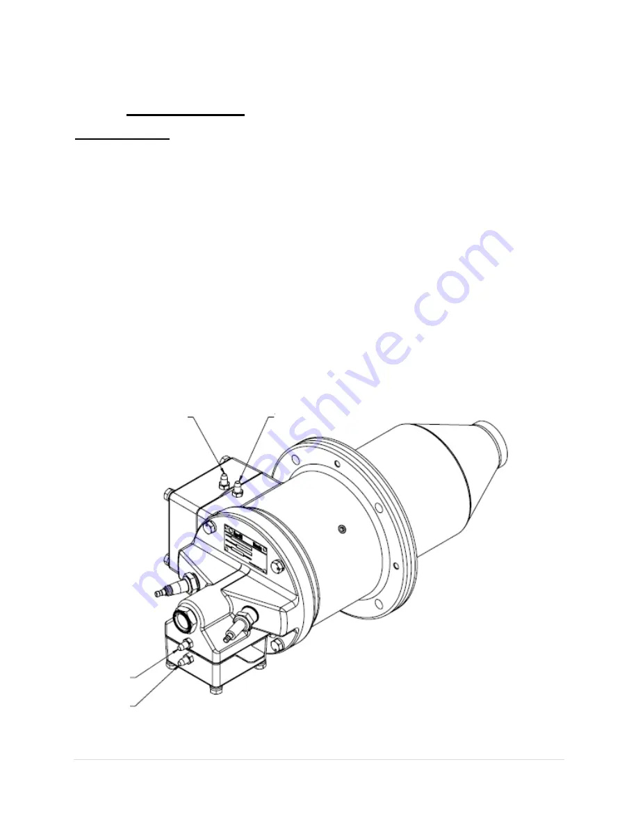 Algas SDI PHOENIX VH100 Operation & Maintenance Manual Download Page 14