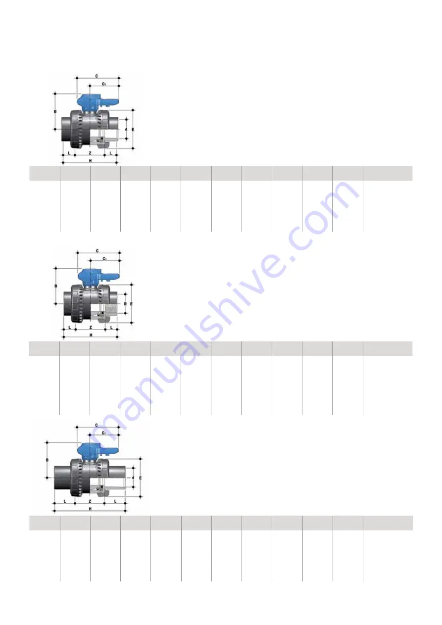 Aliaxis VEE Series Manual Download Page 6