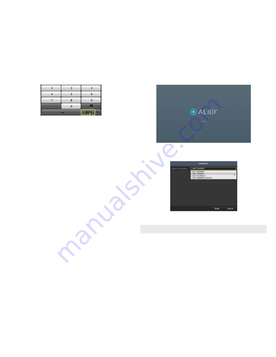 ALIBI ALI-DVR1004E Series Quick Setup Manual Download Page 2