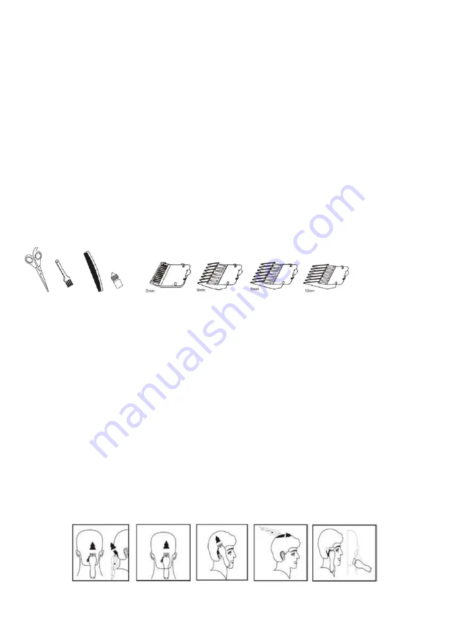 Alpina SF-5035 Instructions For Use Manual Download Page 5