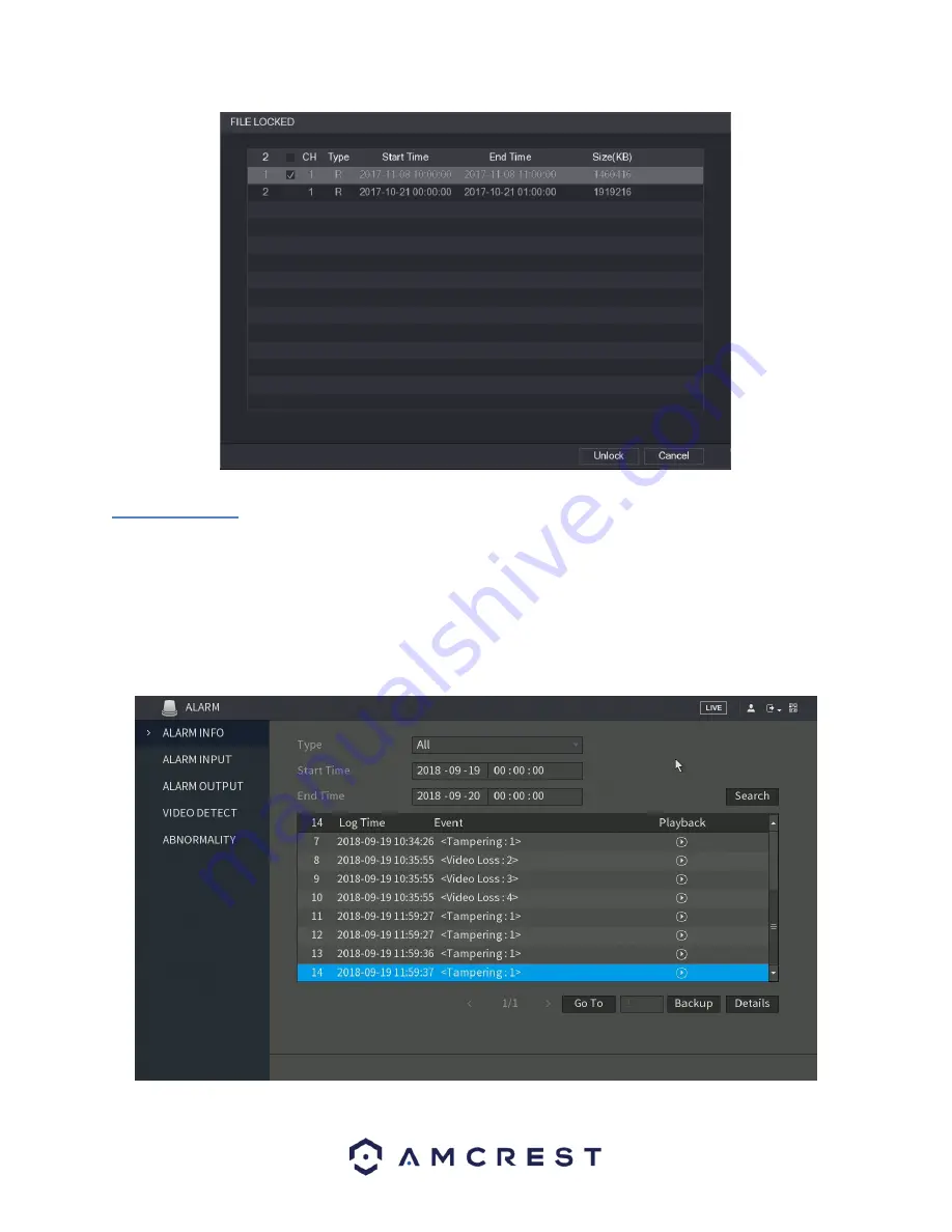 Amcrest XVR/H5 User Manual Download Page 46