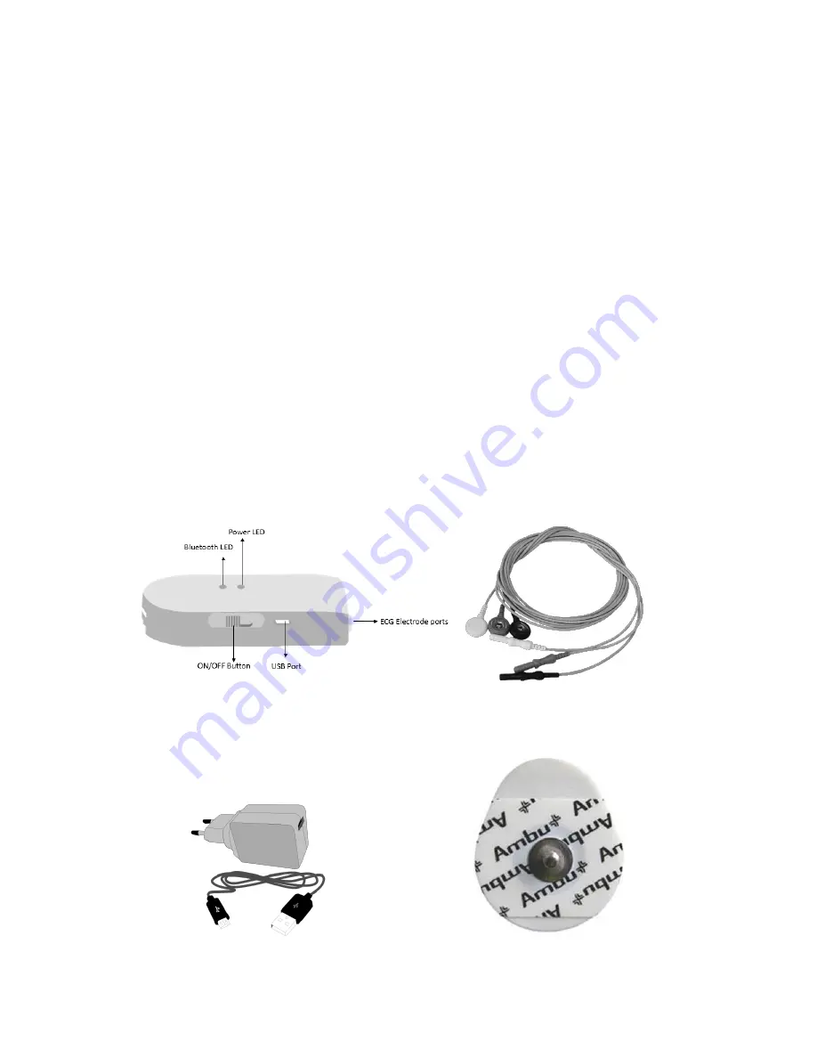 American Megatrends B.O.L.T Chest ECG User Manual Download Page 5