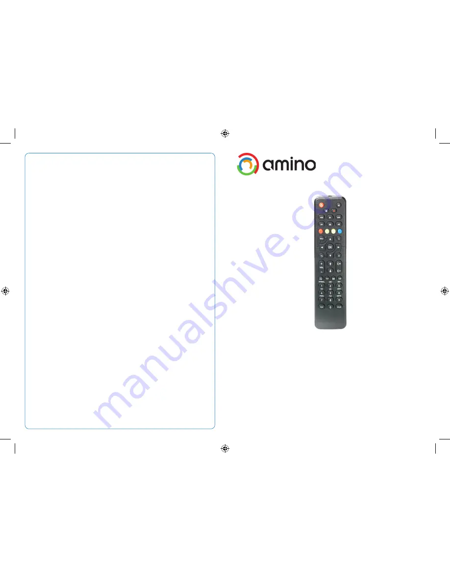 Amino Birch User Manual Download Page 1