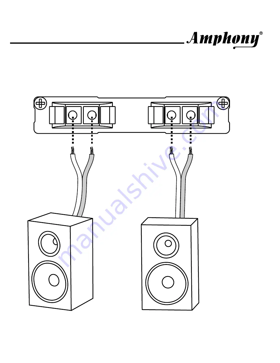 Amphony microFIDELITY 100 Скачать руководство пользователя страница 5