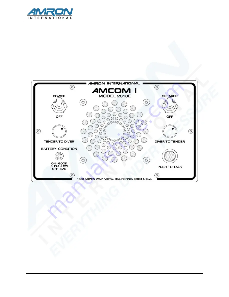 Amron 2810E Скачать руководство пользователя страница 10