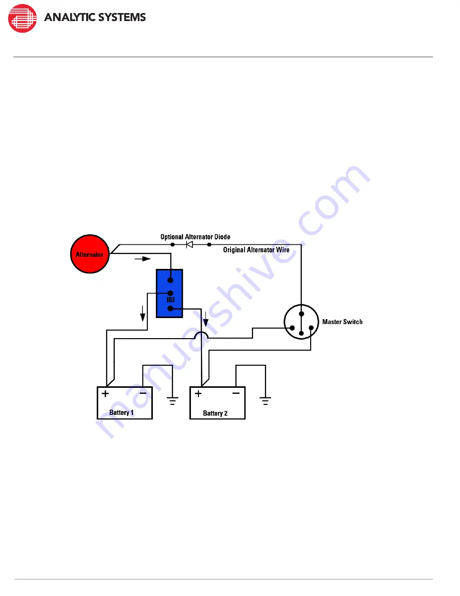 Analytic Systems IBI Series Скачать руководство пользователя страница 8