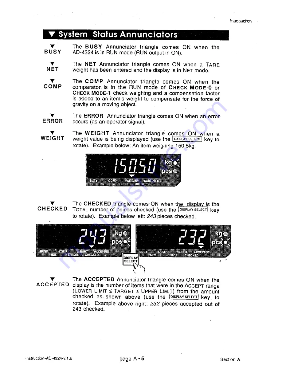 AND Weighing Indicator AD-4324 Скачать руководство пользователя страница 9