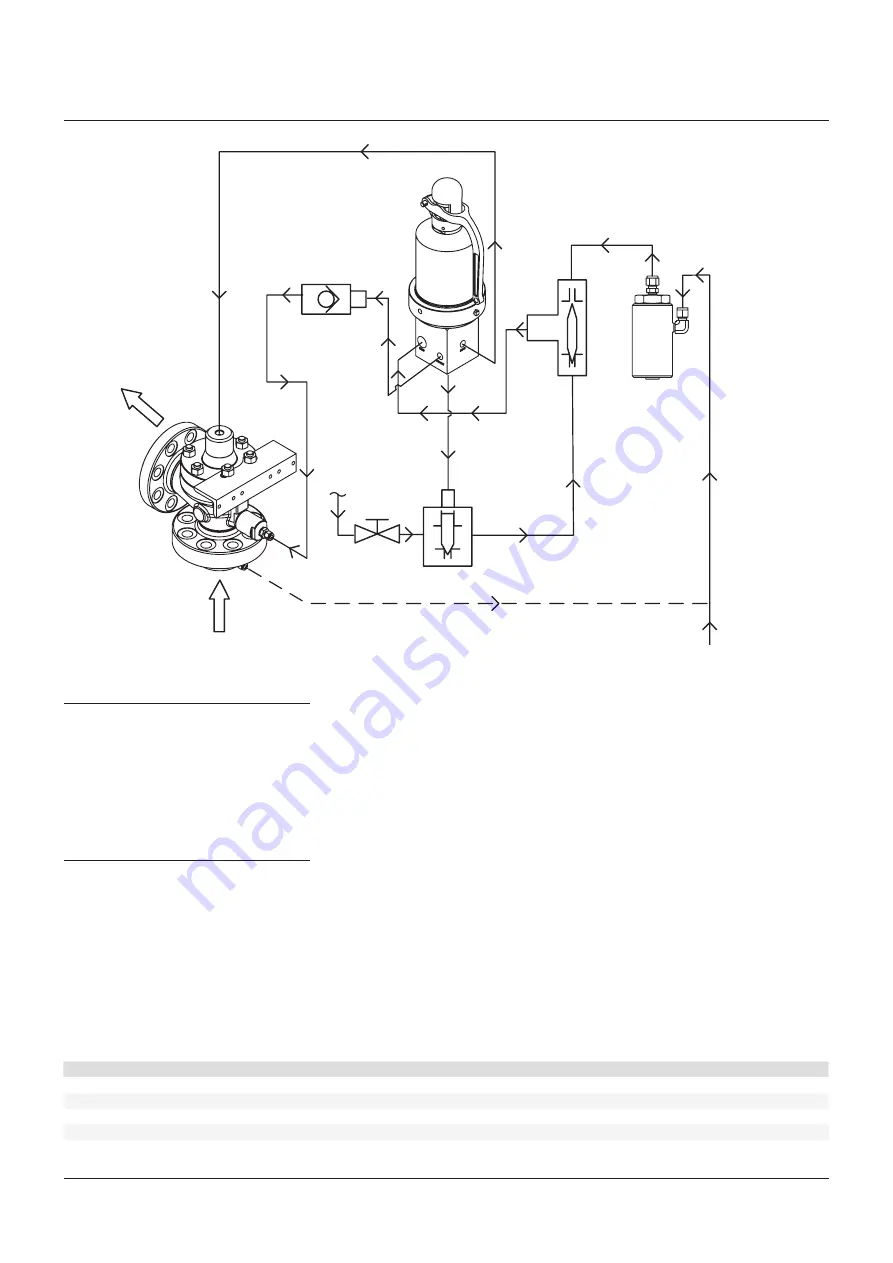 Anderson Greenwood 5200 series Installation And Maintenance Instructions Manual Download Page 12