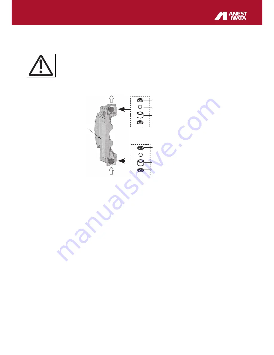 Anest Iwata DDP 70 B series Instruction, Use And Maintenance Manual Download Page 25