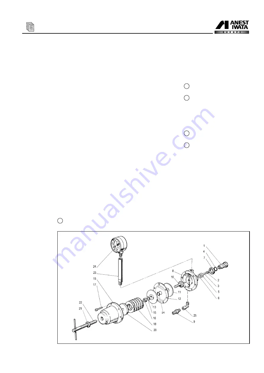 Anest Iwata DDP 90 C WB Скачать руководство пользователя страница 53