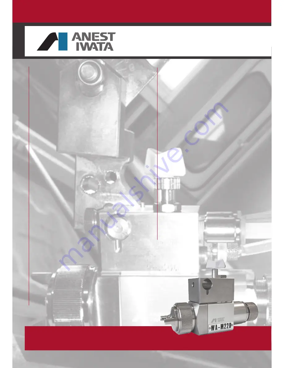 Anest Iwata M220WB-081 Скачать руководство пользователя страница 32