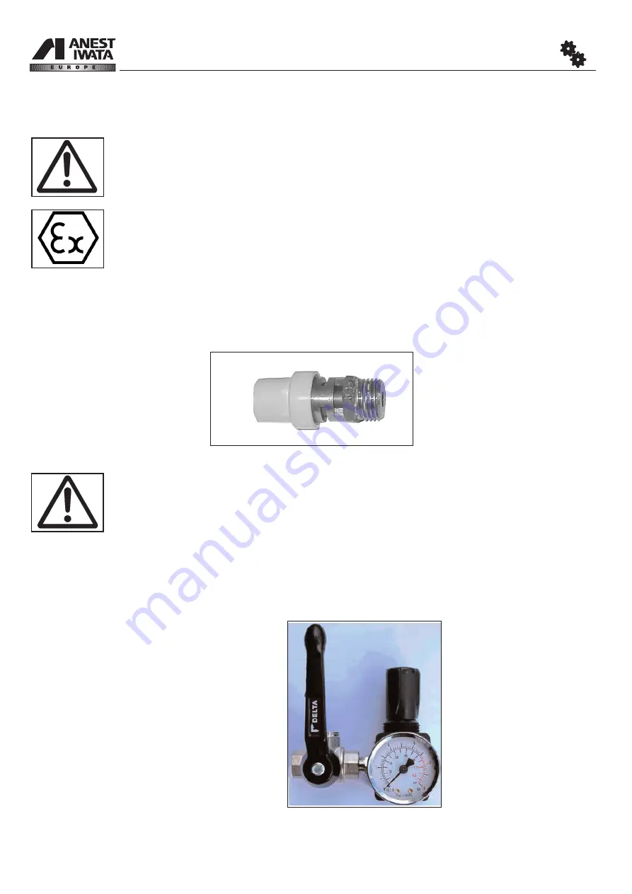 Anest Iwata MSU-113 N Скачать руководство пользователя страница 12